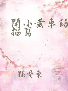 开小黄车的细腻描写