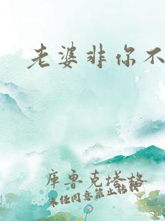 老婆非你不可