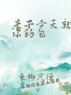 老子今天就要开你的包