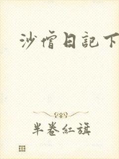 沙僧日记下载