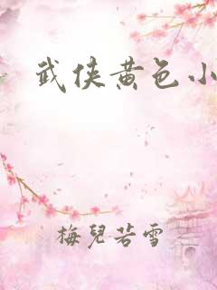 武侠黄色小说