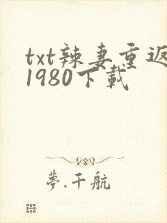 txt辣妻重返1980下载