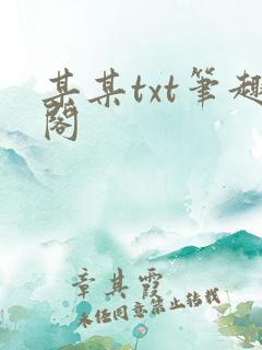 某某txt笔趣阁