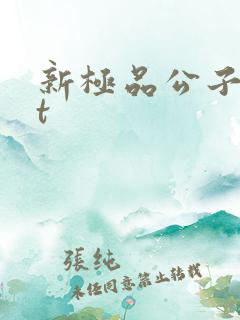 新极品公子txt