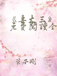 《妻大三》小说免费阅读全文
