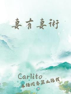 妻有妻术