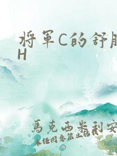 将军C的舒服么H
