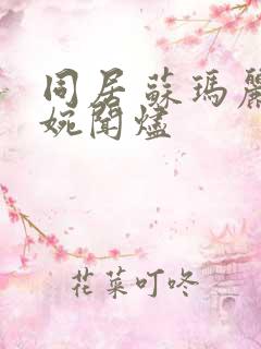 同居 苏玛丽蒋婉闻烬