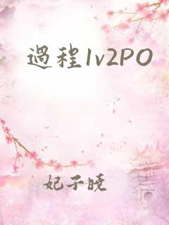 过程1v2PO