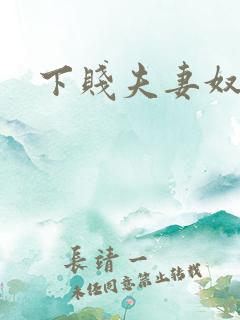 下贱夫妻奴