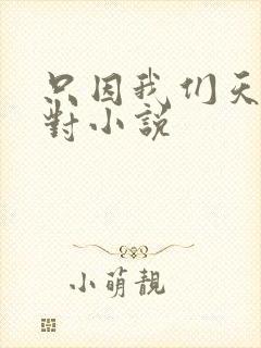 只因我们天生一对小说