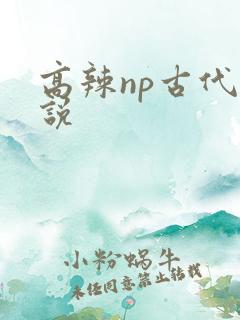高辣np古代小说