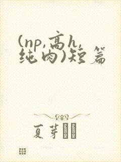 (np,高h,纯肉)短篇
