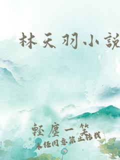 林天羽小说