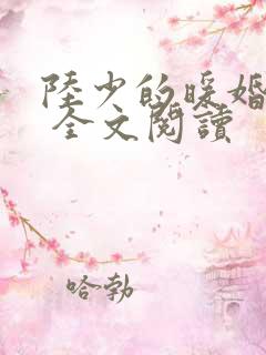 陆少的暖婚新妻 全文阅读