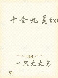十全九美txt