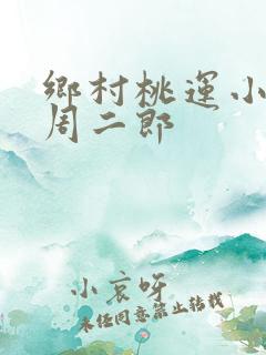 乡村桃运小傻医周二郎