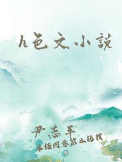 h色文小说