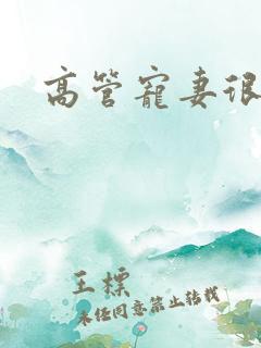 高管宠妻很丰满