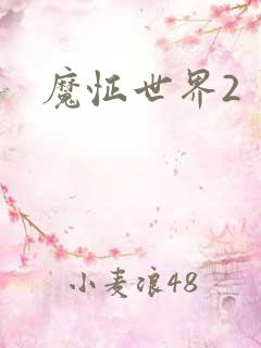 魔怔世界2