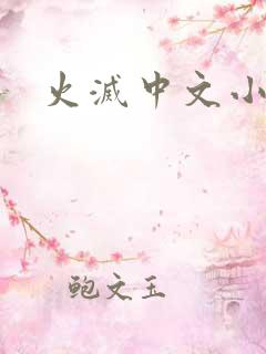 火灭中文小说