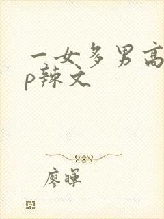 一女多男高hnp辣文
