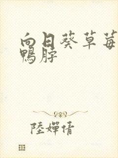 向日葵草莓丝瓜鸭脖