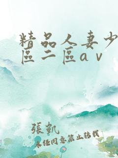 精品人妻少妇一区二区aⅴ