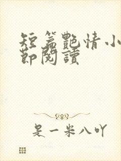 短篇艳情小说分节阅读
