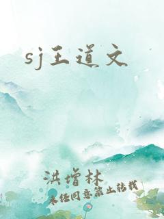sj王道文
