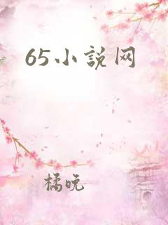 65小说网
