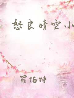 怒良晴空小说