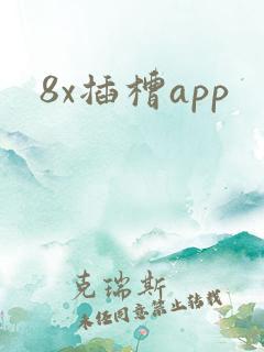 8x插槽app