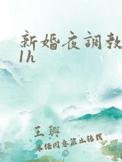 新婚夜调教1v1h