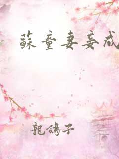 苏童妻妾成群