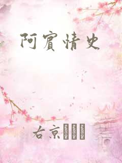 阿宾情史