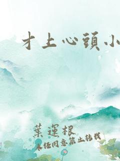 才上心头小说