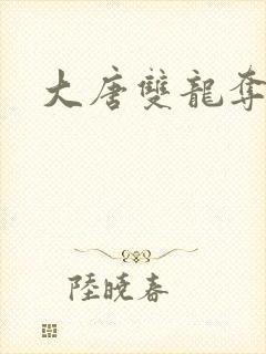 大唐双龙夺艳记
