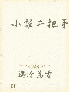 小说二把手