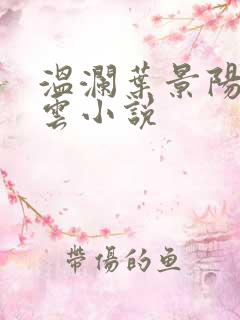 温澜叶景阳温云云小说