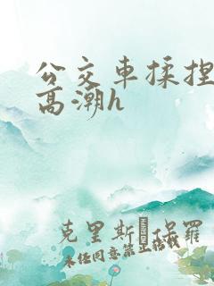 公交车揉捏花蒂高潮h