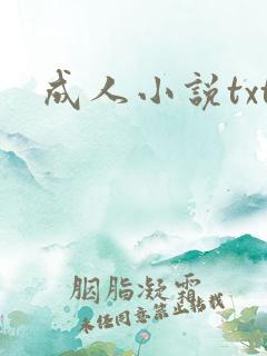 成人小说txt
