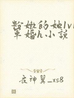 粉嫩的她1v1军婚h小说