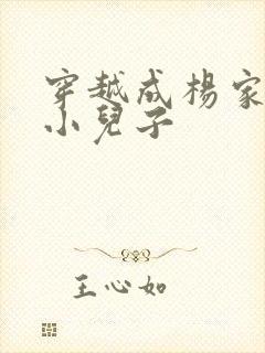 穿越成杨家将最小儿子