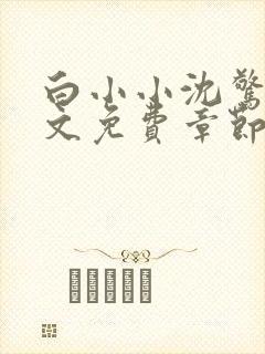 白小小沈惊觉全文免费章节