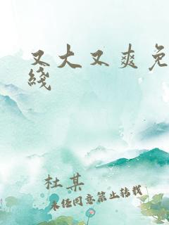 又大又爽免费在线