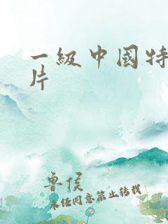 一级中国特黄大片