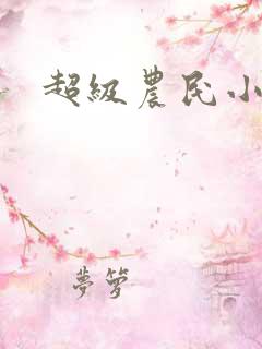 超级农民小说