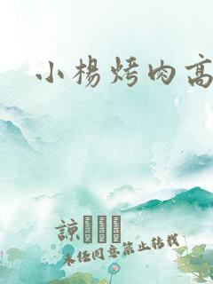 小杨烤肉高新店
