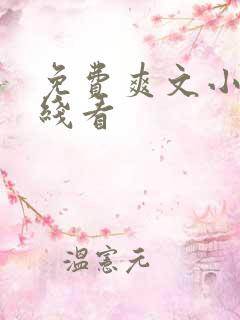 免费爽文小说在线看